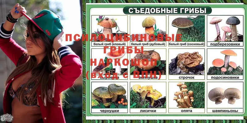 купить наркотик  Энгельс  Псилоцибиновые грибы прущие грибы 